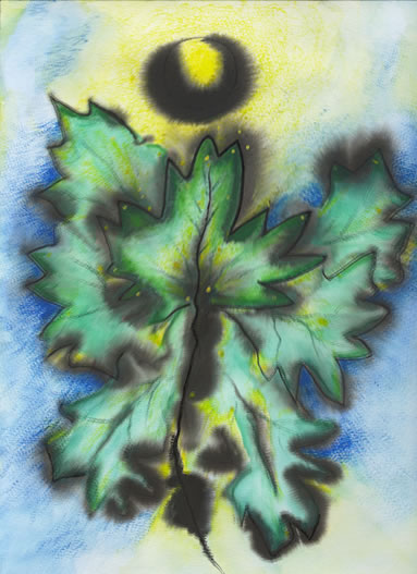 budding green leaves