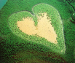 Gigantic heart carved into vegetation